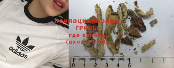 прущая мука Абаза