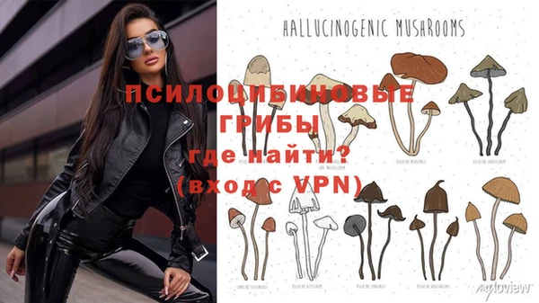 гашиш Алексеевка