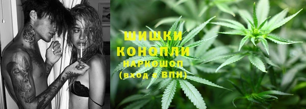 шишки Алзамай