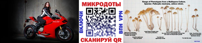 магазин    Шадринск  Галлюциногенные грибы GOLDEN TEACHER 