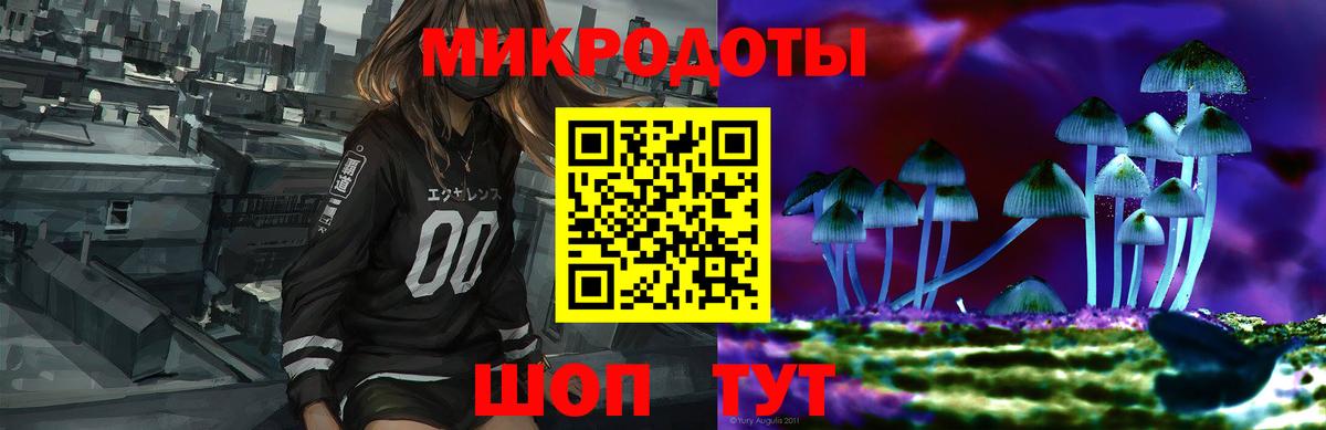 Псилоцибиновые грибы Cubensis Шадринск