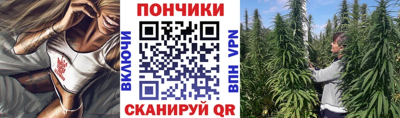 мега зеркало  Шадринск  Шишки марихуана VHQ  закладки 